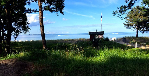 Wald und Strand